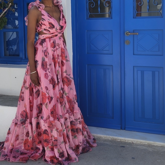 Georgia Organza Maxi Dress - Picture 4 of 6